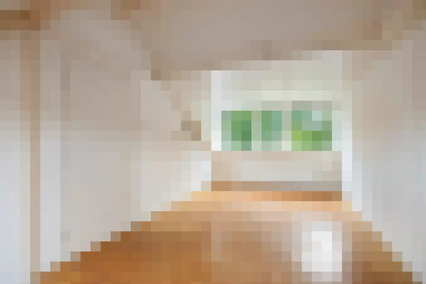 Berkenlaan 25 Peize thumbnail 33