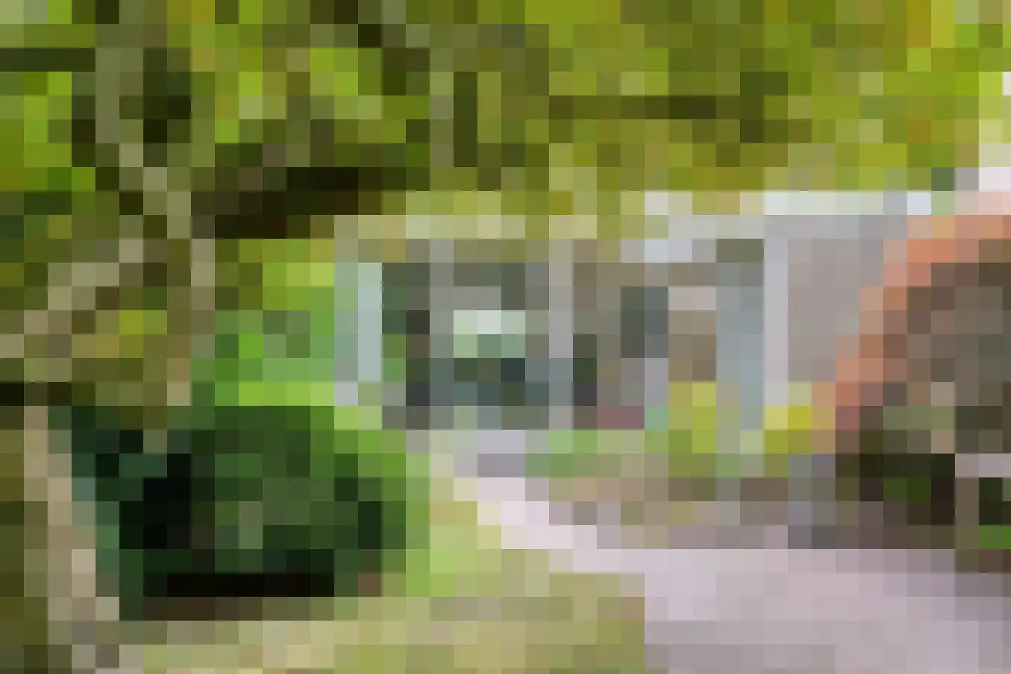 Berkenlaan 25 Peize thumbnail 35