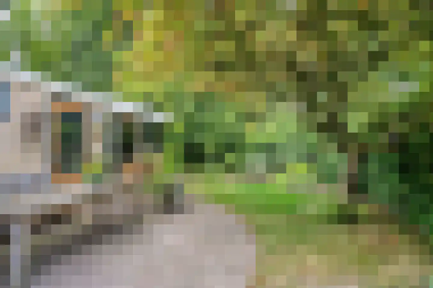 Berkenlaan 25 Peize thumbnail 36