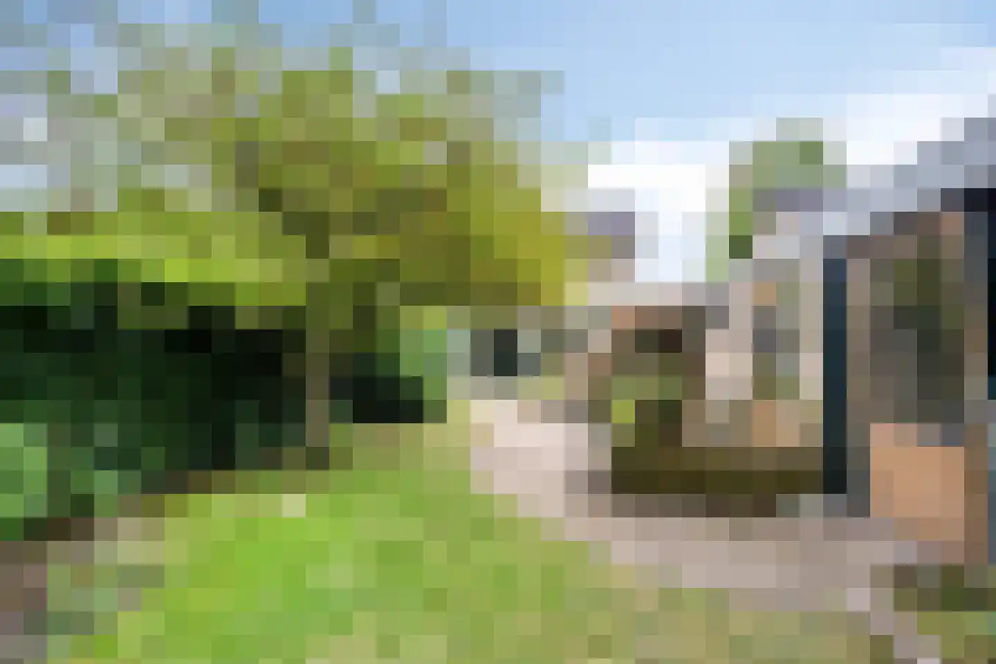 Berkenlaan 25 Peize thumbnail 37