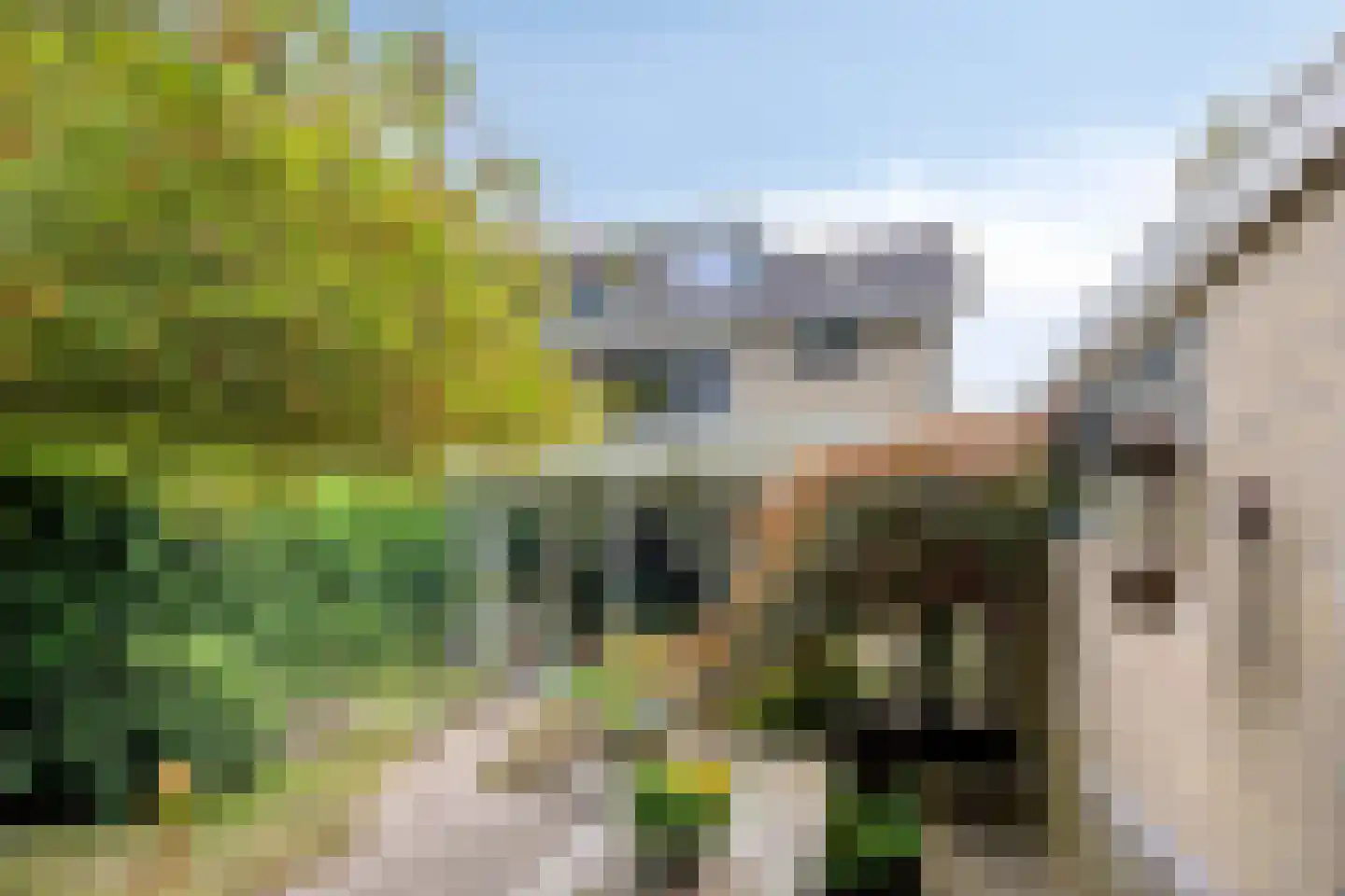 Berkenlaan 25 Peize thumbnail 38