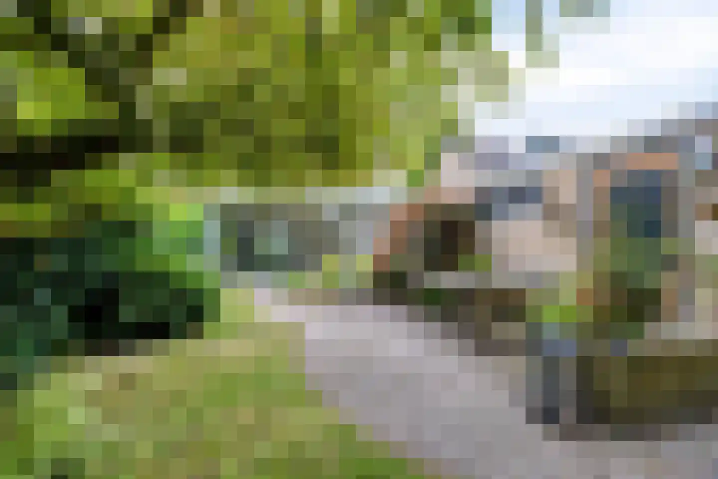 Berkenlaan 25 Peize thumbnail 39