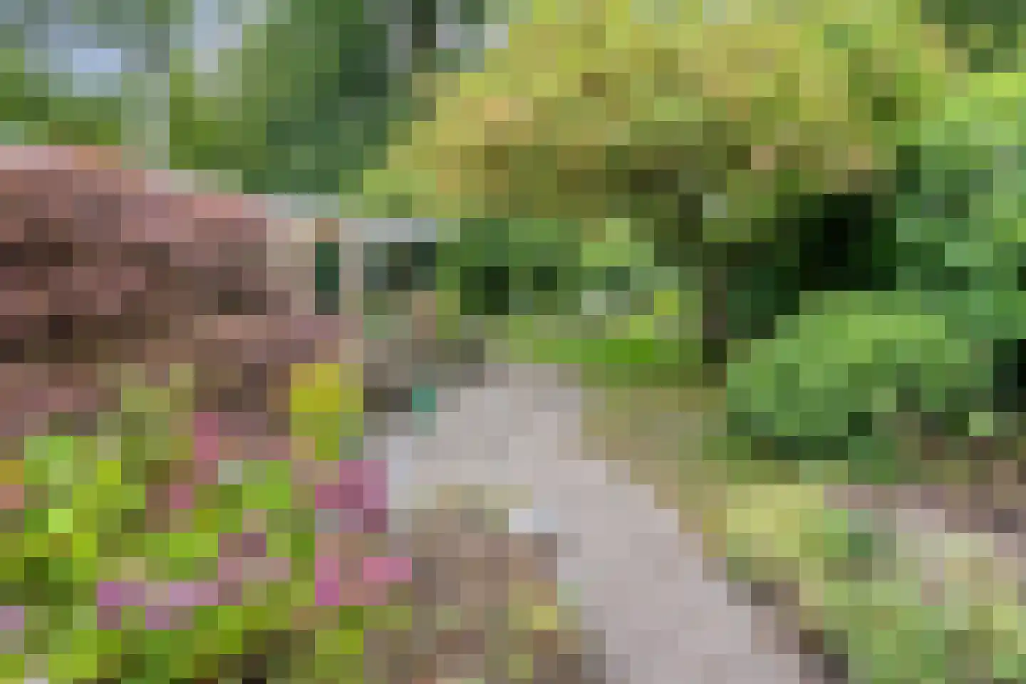 Berkenlaan 25 Peize thumbnail 4