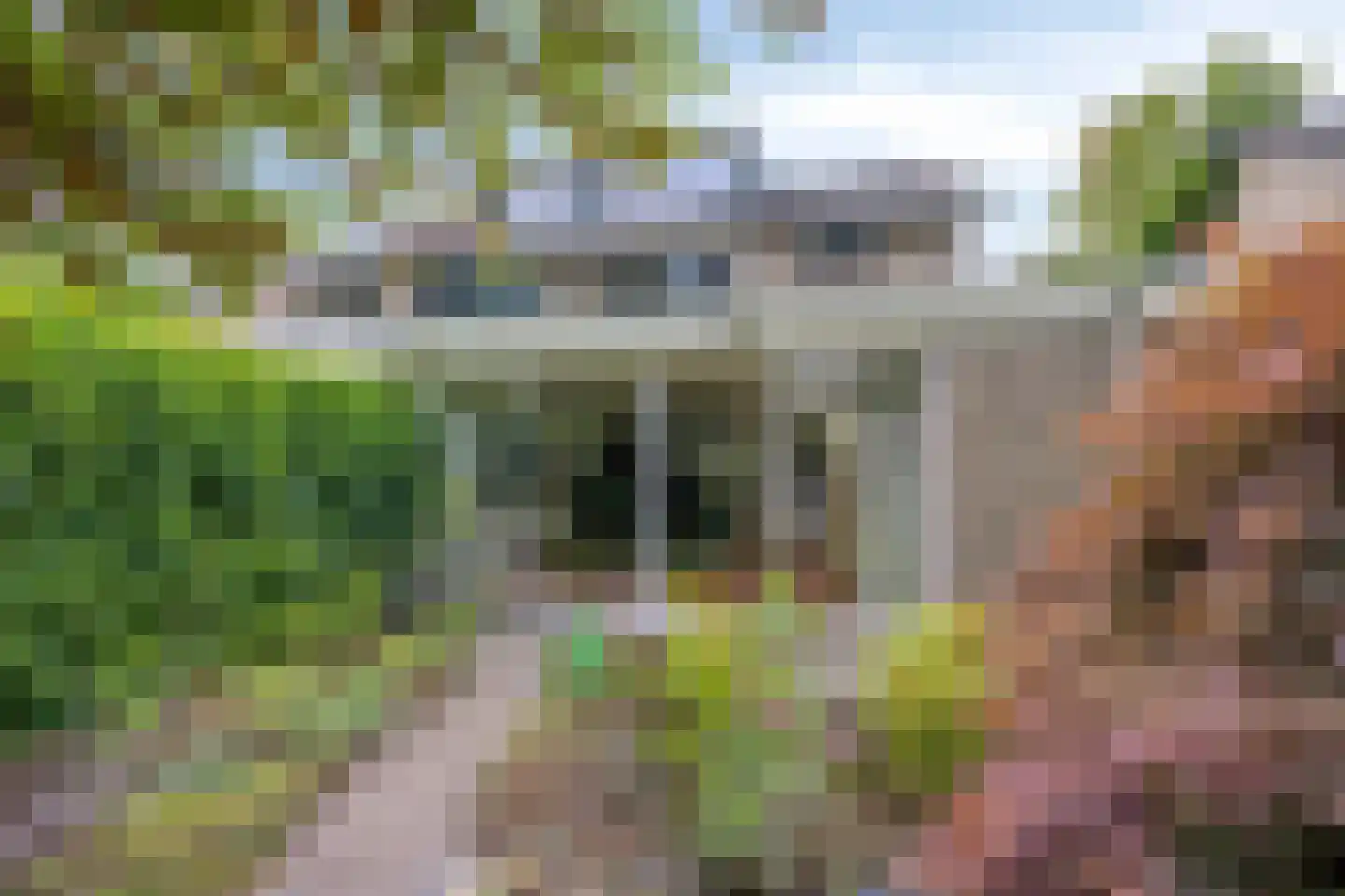 Berkenlaan 25 Peize thumbnail 40