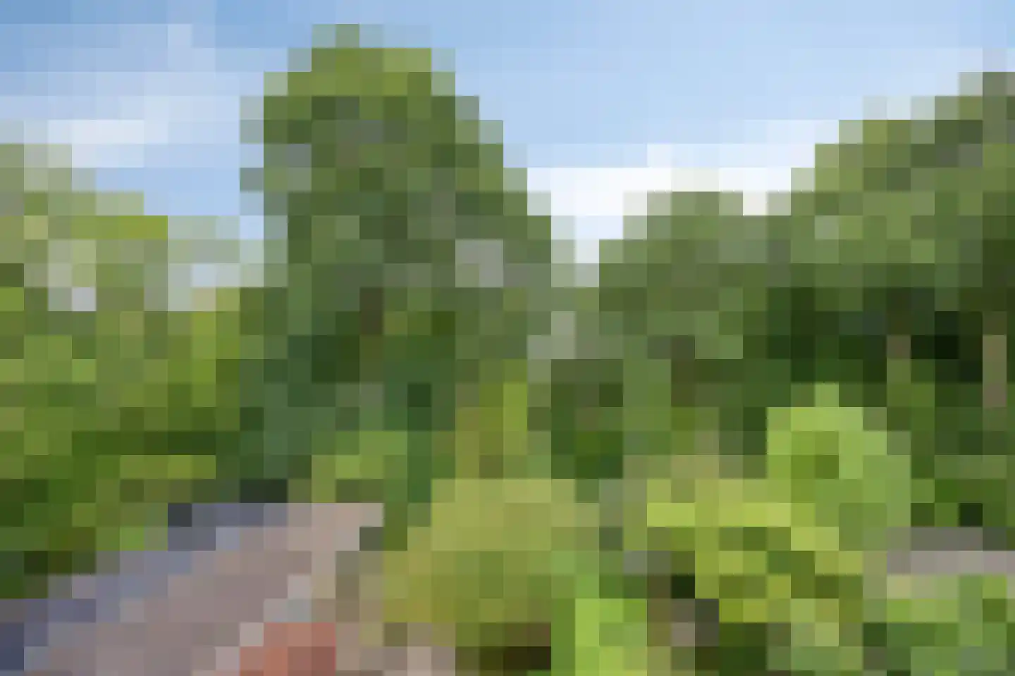 Berkenlaan 25 Peize thumbnail 41