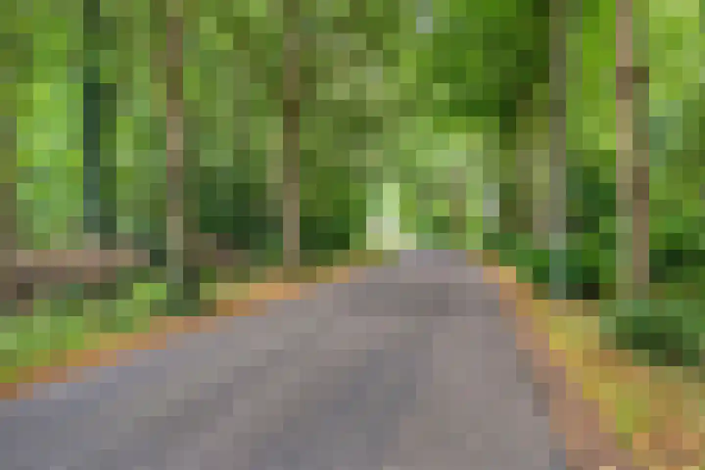 Berkenlaan 25 Peize thumbnail 42