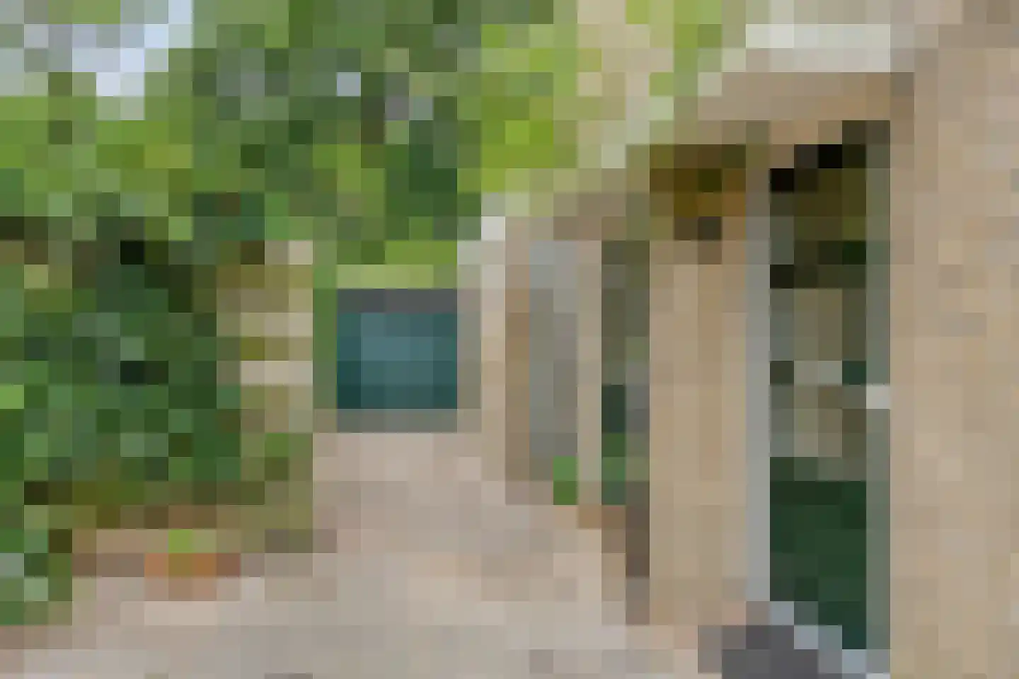 Berkenlaan 25 Peize thumbnail 7