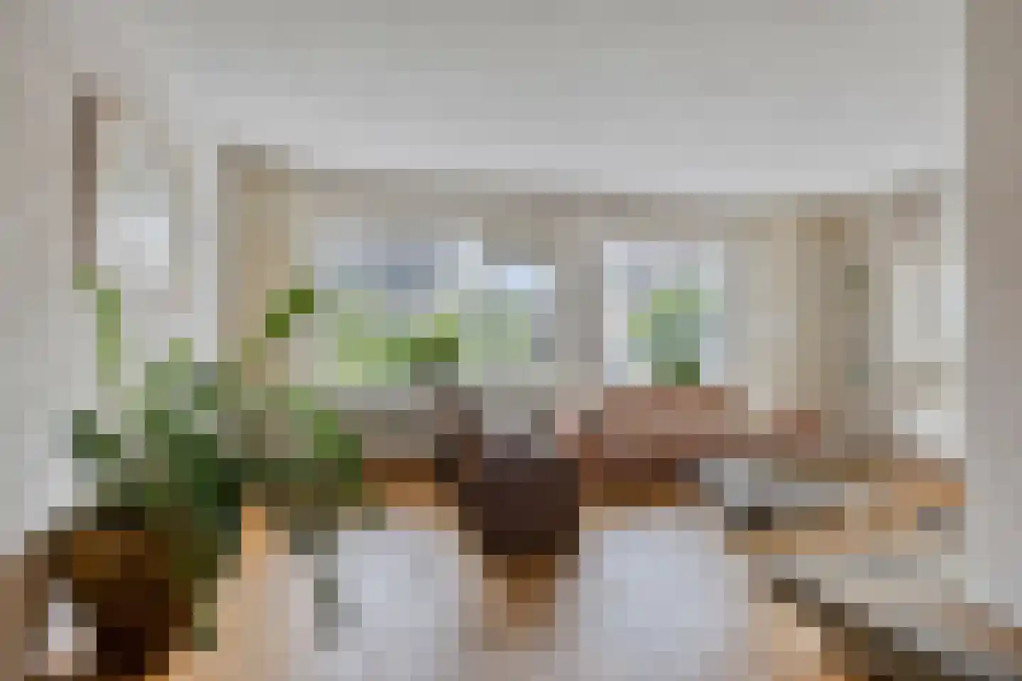 Berkenlaan 25 Peize thumbnail 9