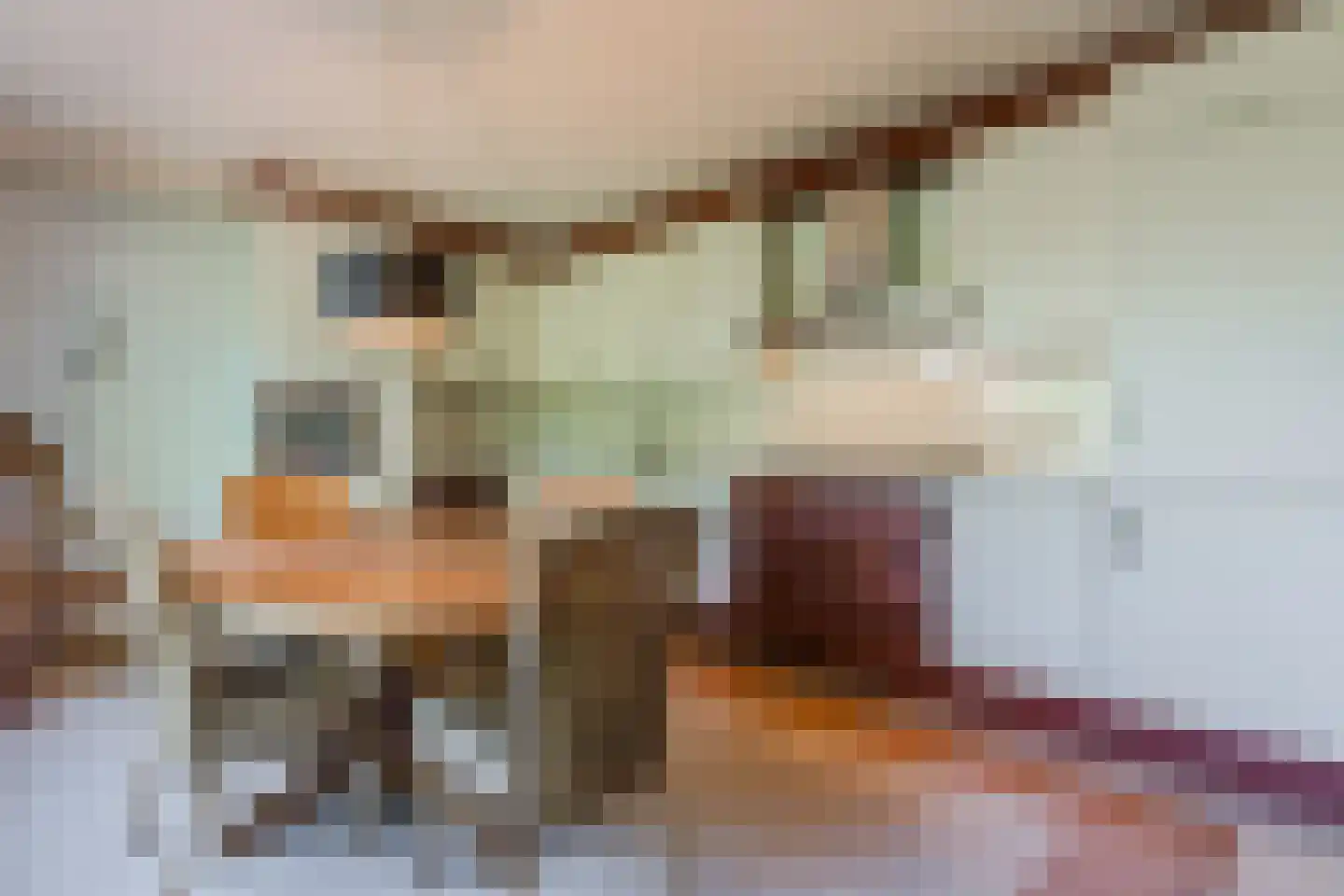 Berkenlaan 25 Tynaarlo thumbnail 16
