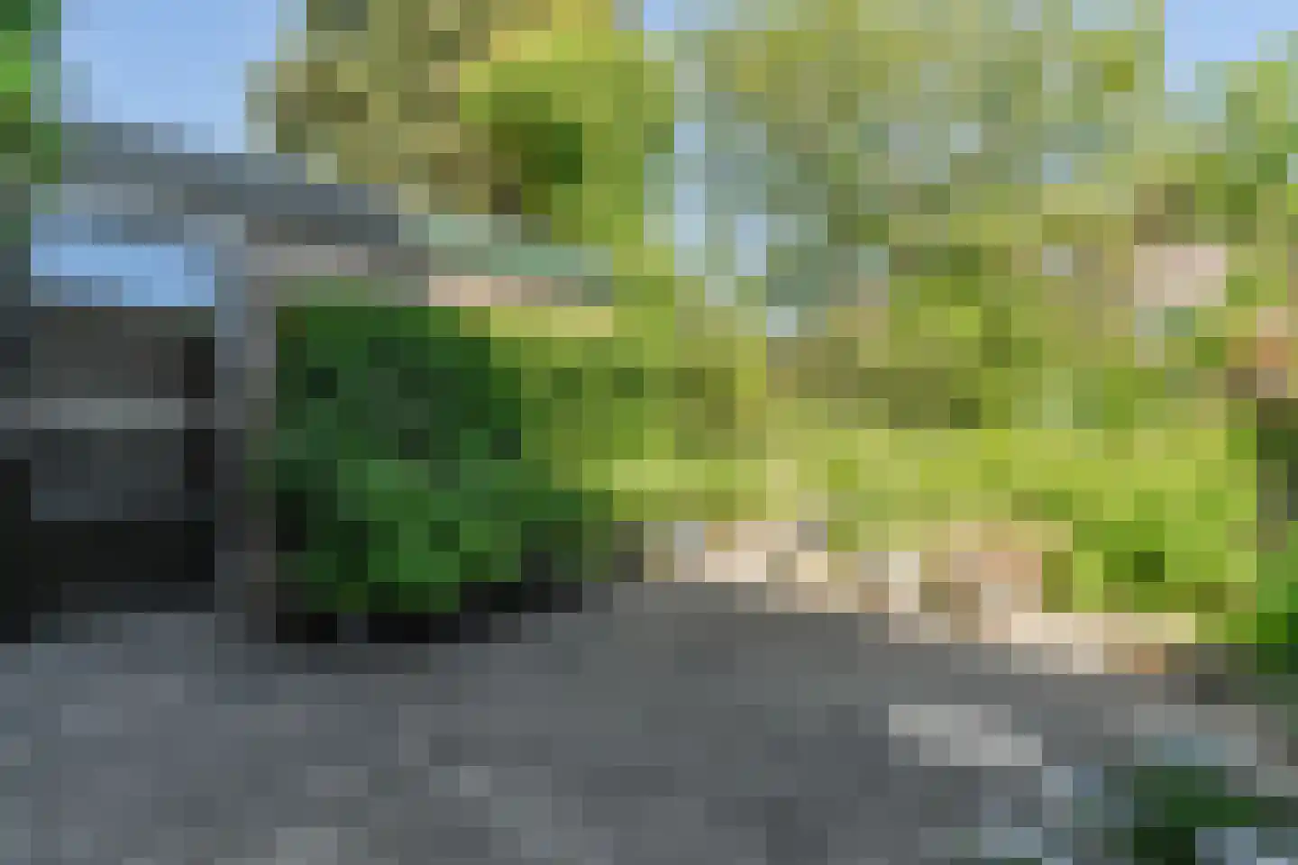 Berkenlaan 25 Tynaarlo thumbnail 38