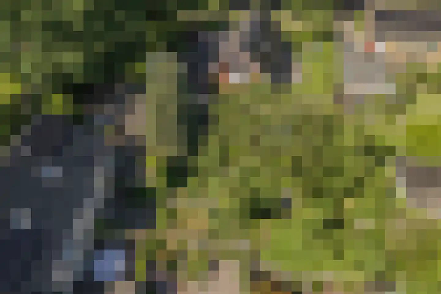 Berkenlaan 25 Tynaarlo thumbnail 39