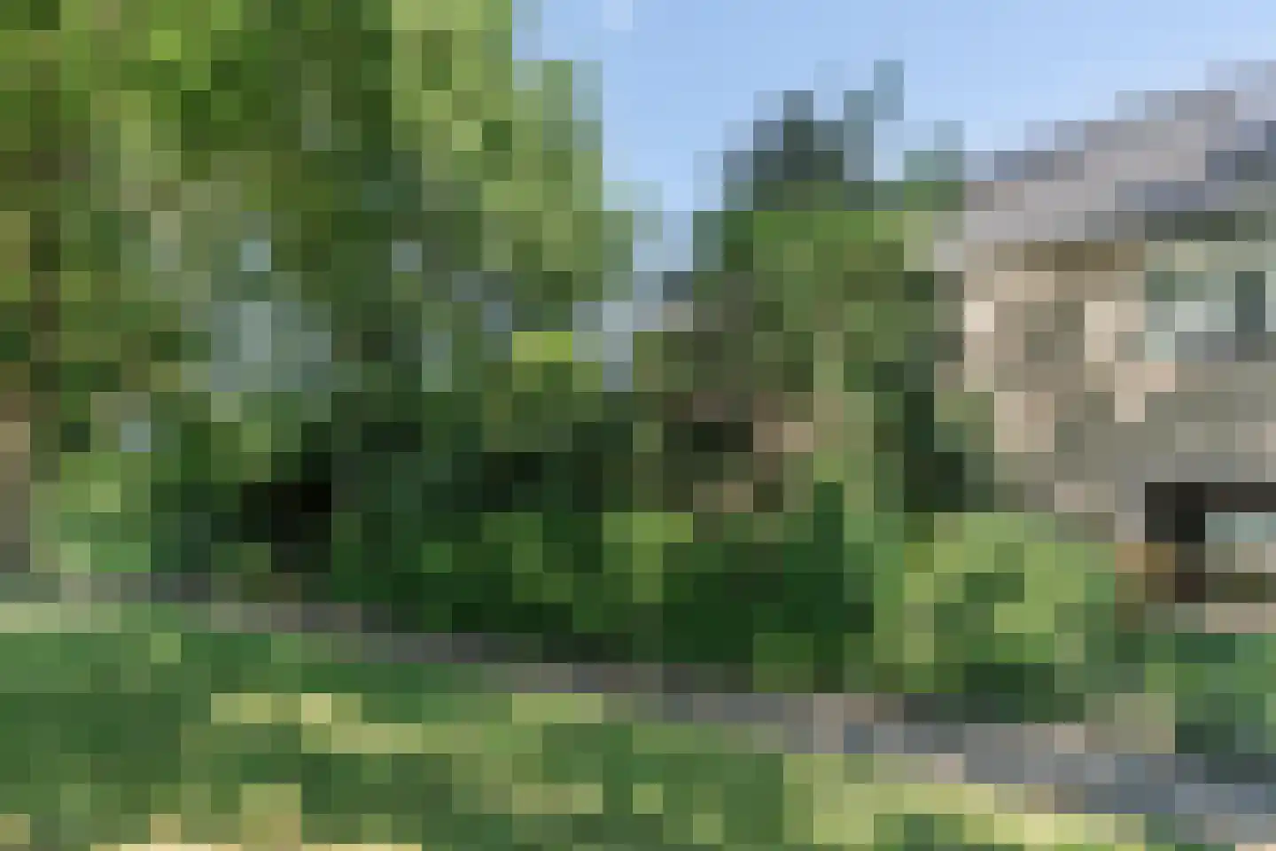 Berkenlaan 25 Tynaarlo thumbnail 42
