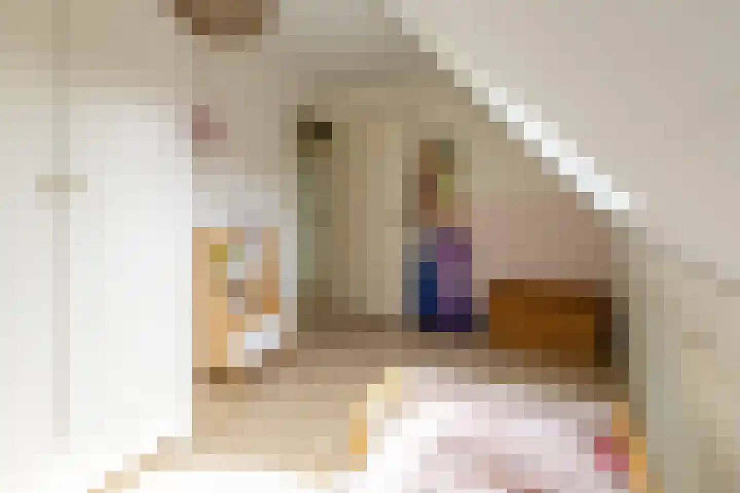 Berkenlaan 25 Westerlee thumbnail 21