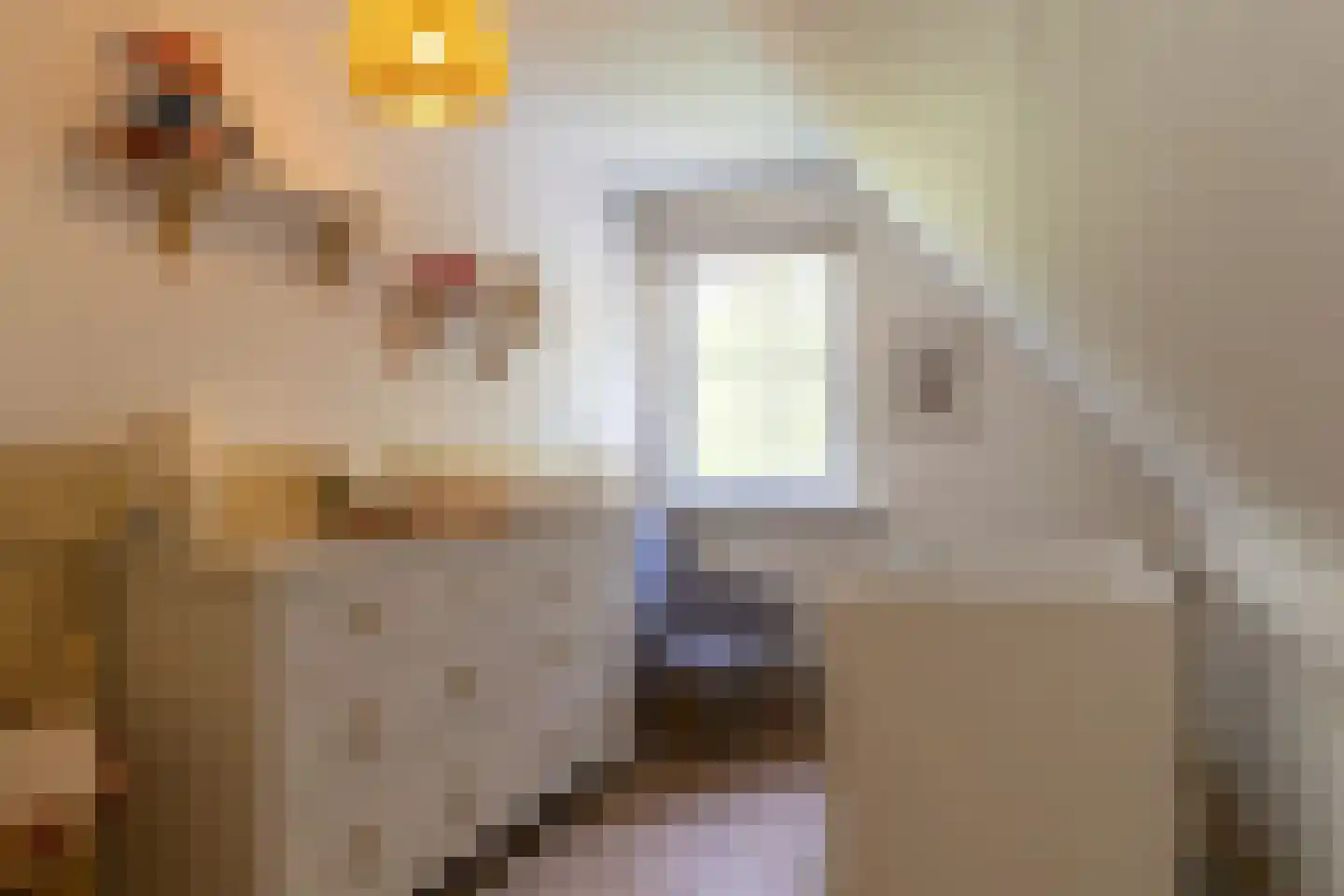 Berkenlaan 25 Westerlee thumbnail 22