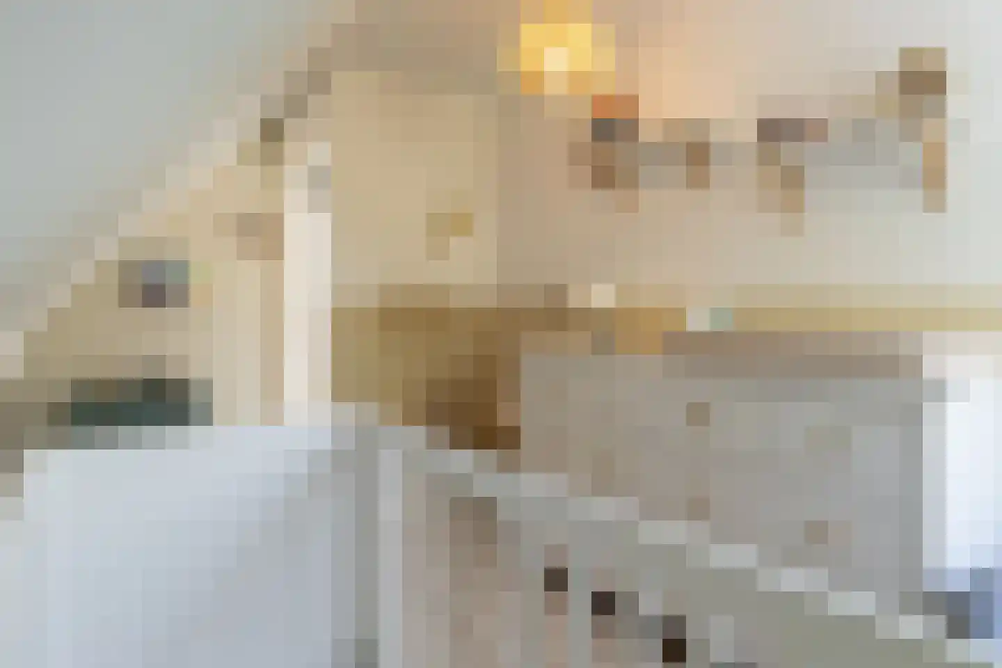 Berkenlaan 25 Westerlee thumbnail 23