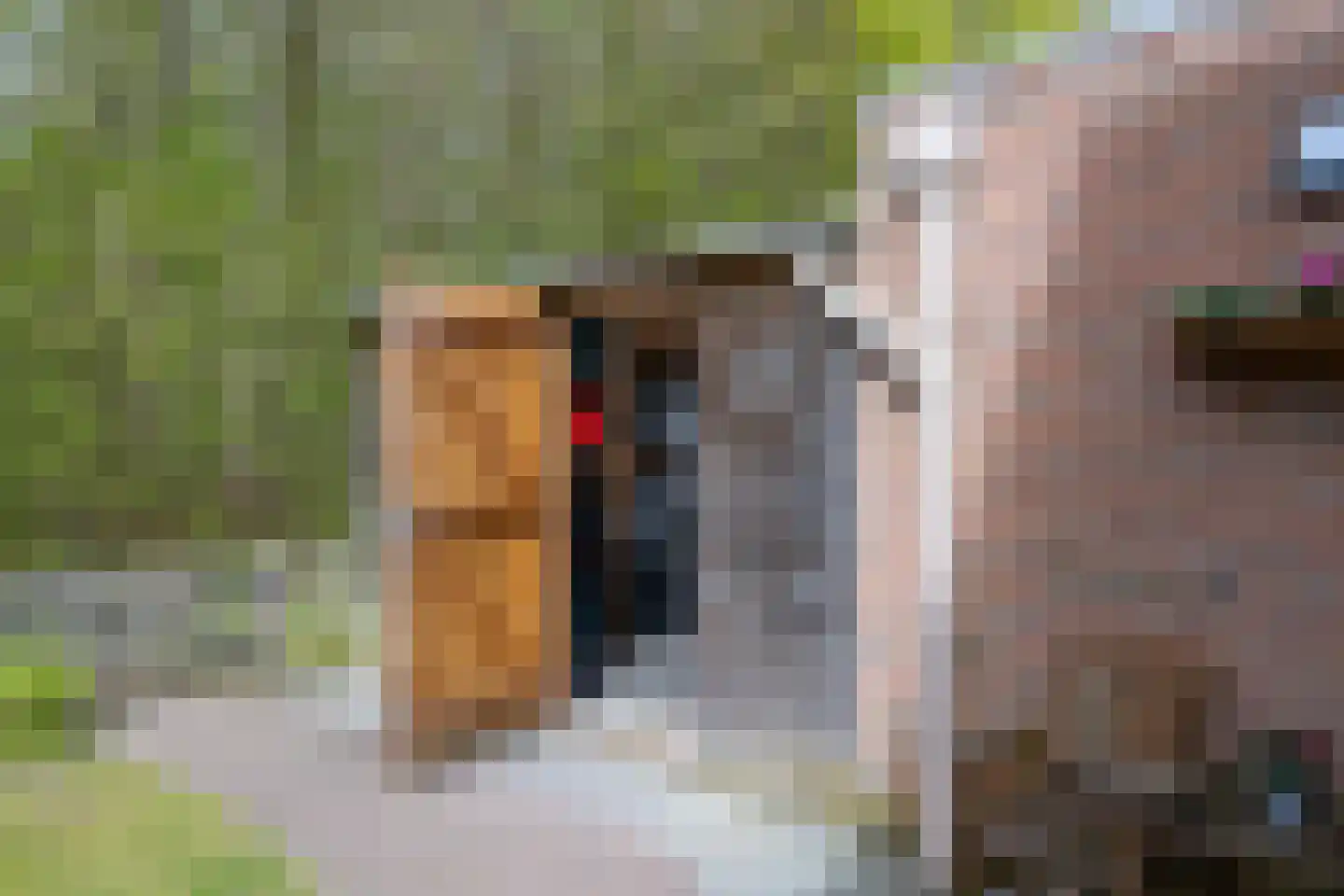 Berkenlaan 25 Westerlee thumbnail 29