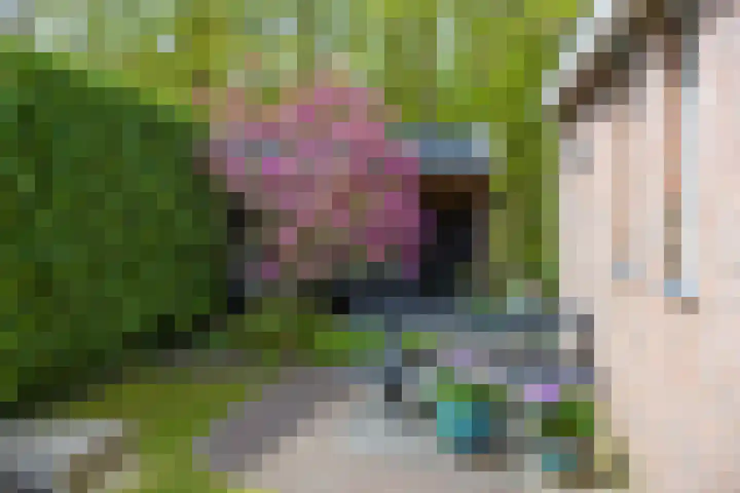 Berkenlaan 25 Westerlee thumbnail 32