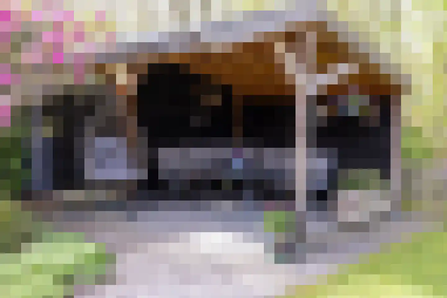 Berkenlaan 25 Westerlee thumbnail 35