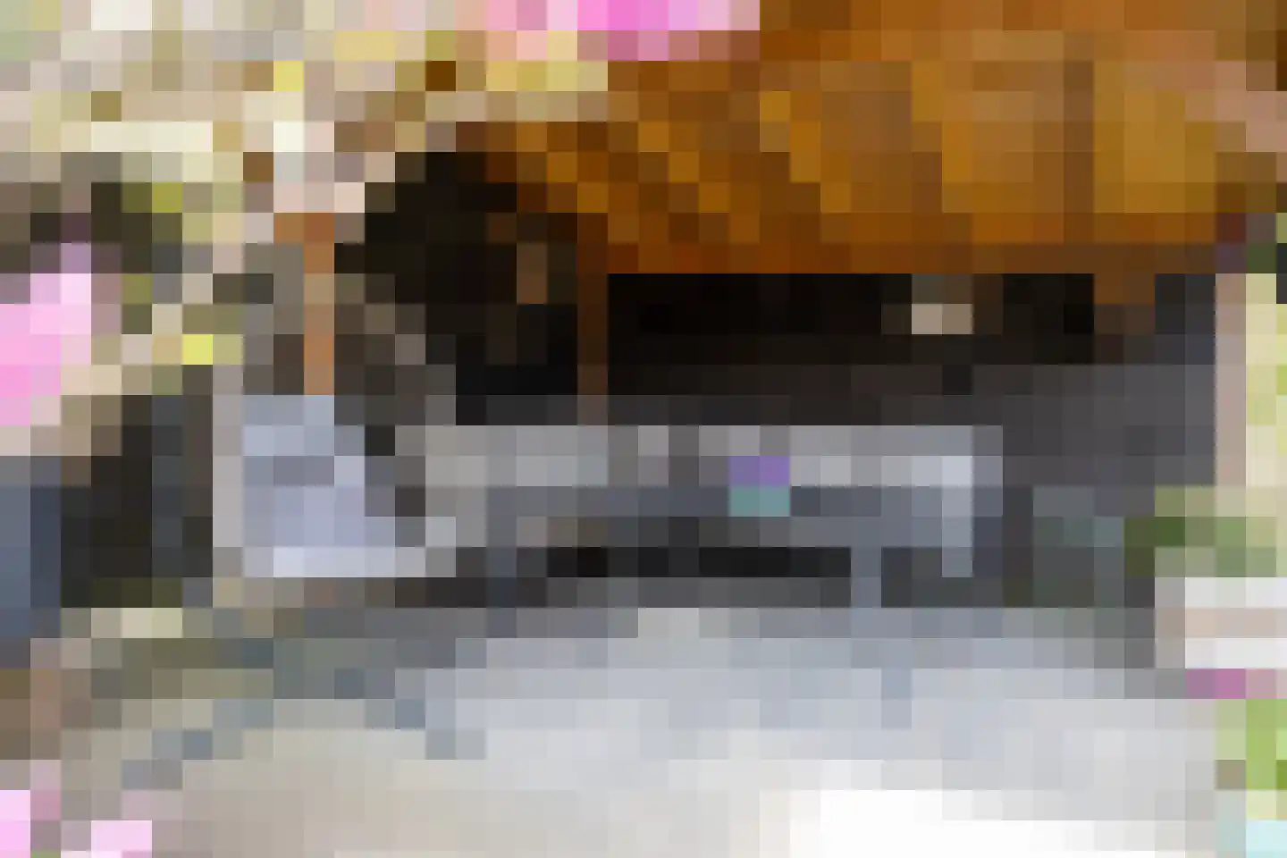 Berkenlaan 25 Westerlee thumbnail 36
