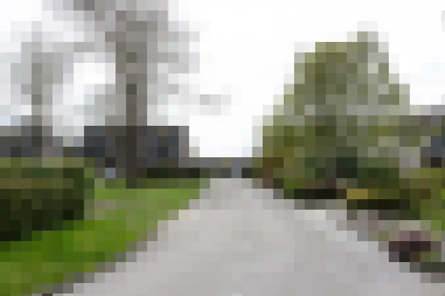 Berkenlaan 25 Westerlee thumbnail 39