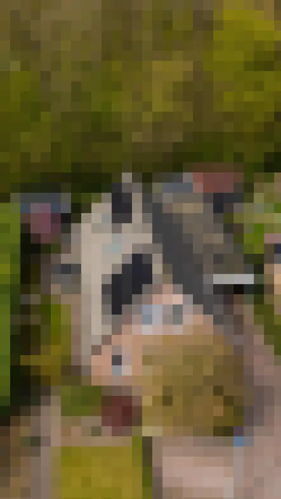 Berkenlaan 25 Westerlee thumbnail 41