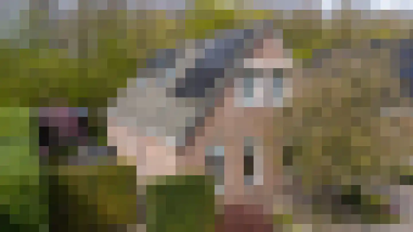 Berkenlaan 25 Westerlee thumbnail 5