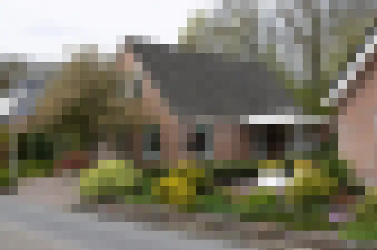 Berkenlaan 25 Westerlee thumbnail 6