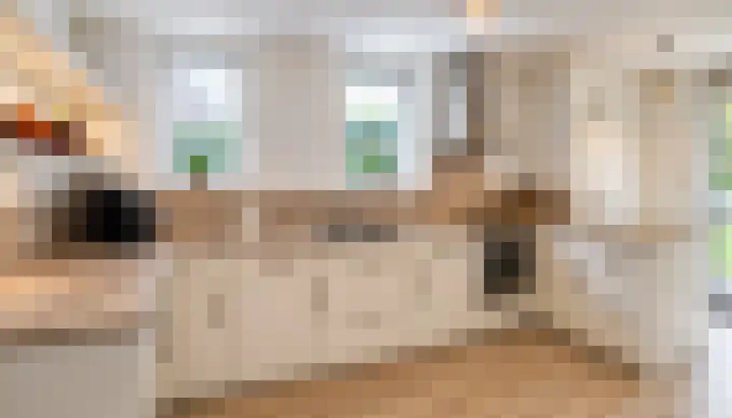 Berkenlaan 25 Westerlee thumbnail 9