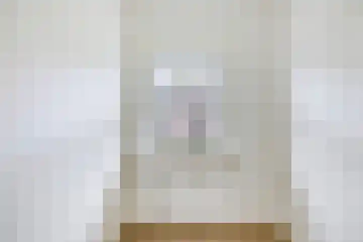 Berkenlaan 253 Zutphen thumbnail 12