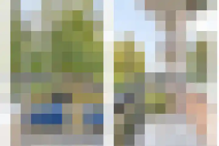 Berkenlaan 253 Zutphen thumbnail 18