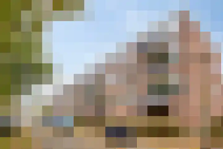 Berkenlaan 253 Zutphen thumbnail 25