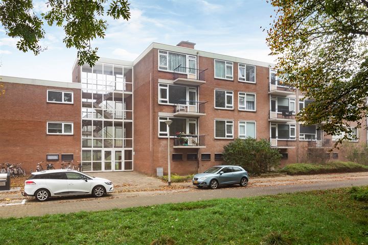 Berkenlaan 257 in Zutphen Foto