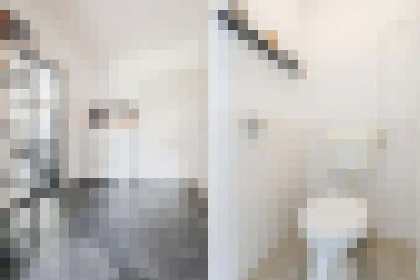 Berkenlaan 259 Zutphen thumbnail 10
