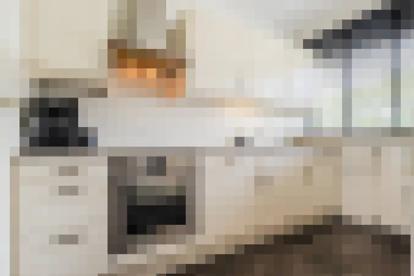 Berkenlaan 259 Zutphen thumbnail 23