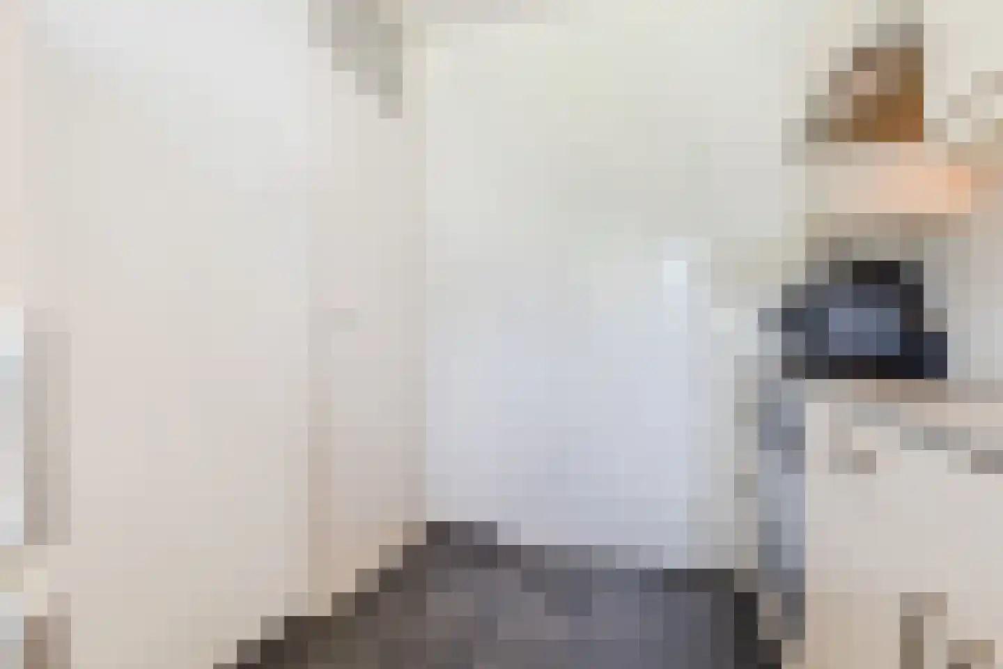 Berkenlaan 259 Zutphen thumbnail 25