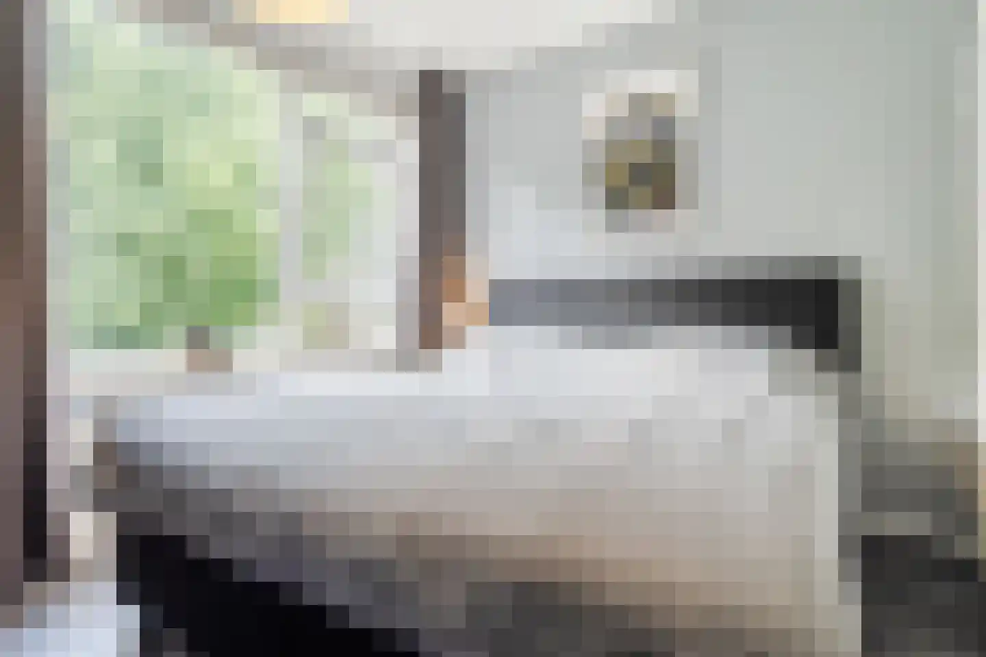 Berkenlaan 259 Zutphen thumbnail 27