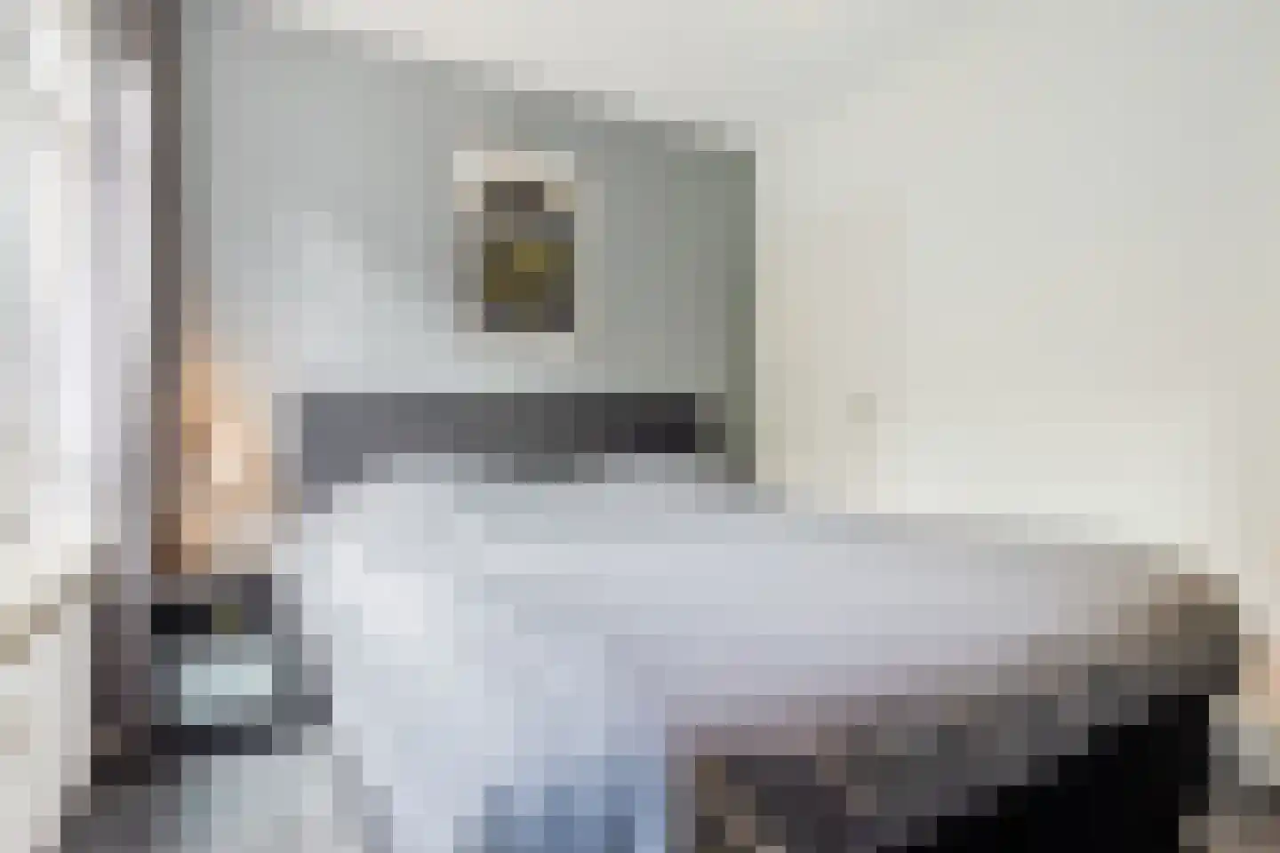 Berkenlaan 259 Zutphen thumbnail 28