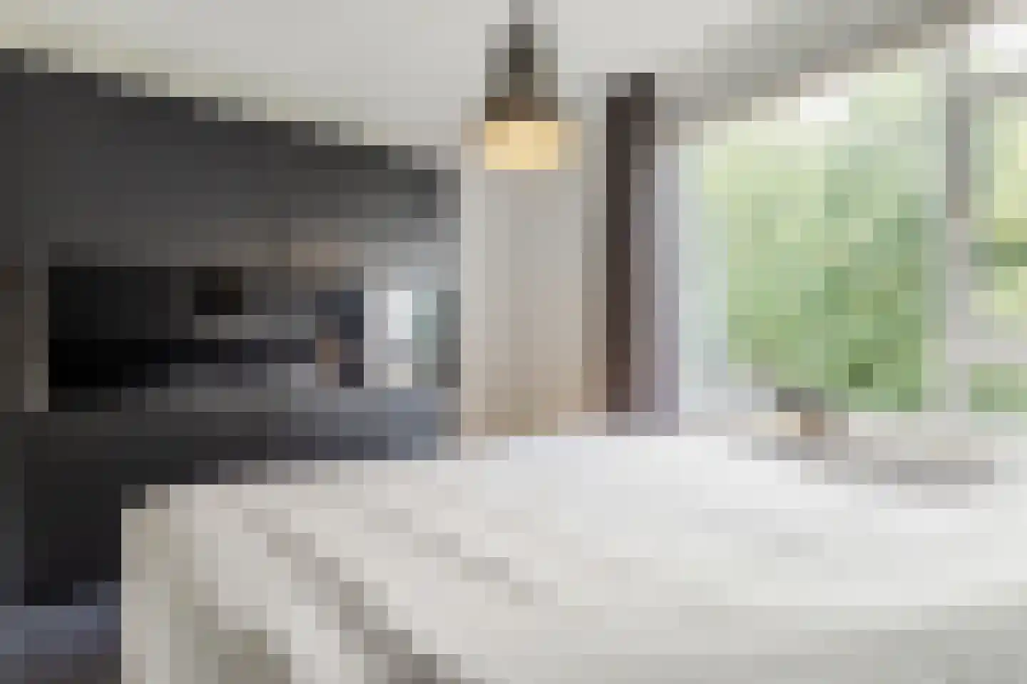 Berkenlaan 259 Zutphen thumbnail 30