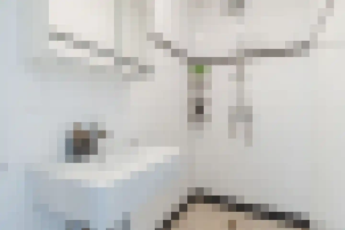 Berkenlaan 259 Zutphen thumbnail 33
