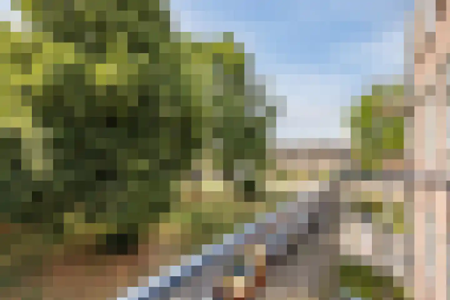 Berkenlaan 259 Zutphen thumbnail 37