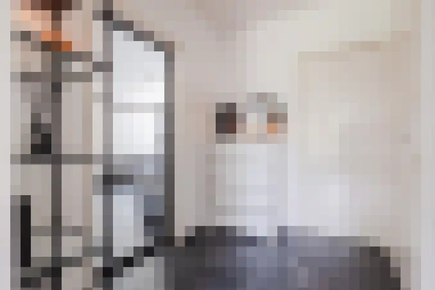 Berkenlaan 259 Zutphen thumbnail 6