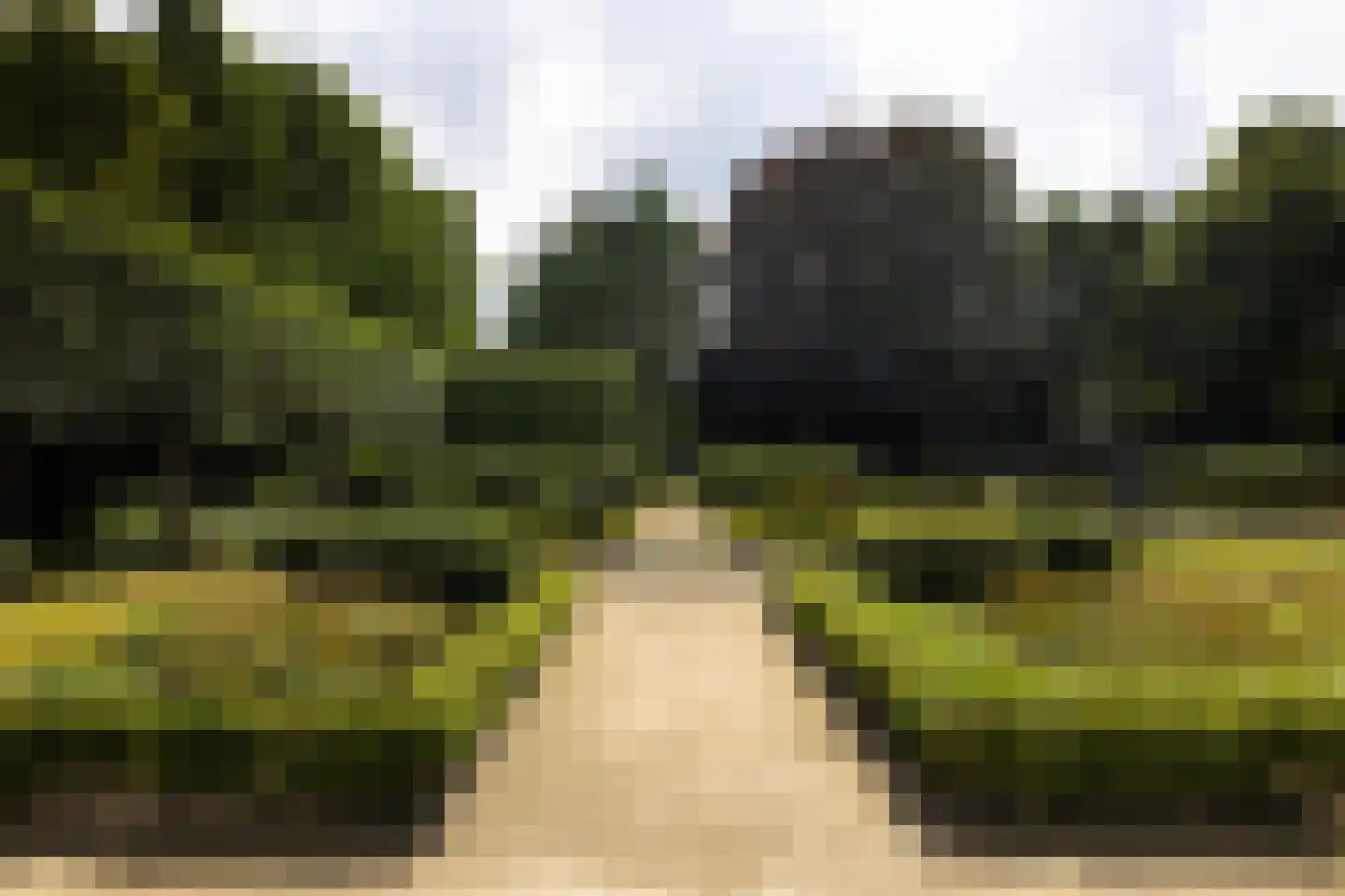 Berkenlaan 26 Loon op Zand thumbnail 16