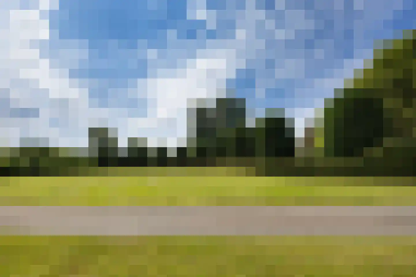 Berkenlaan 26 Loon op Zand thumbnail 18