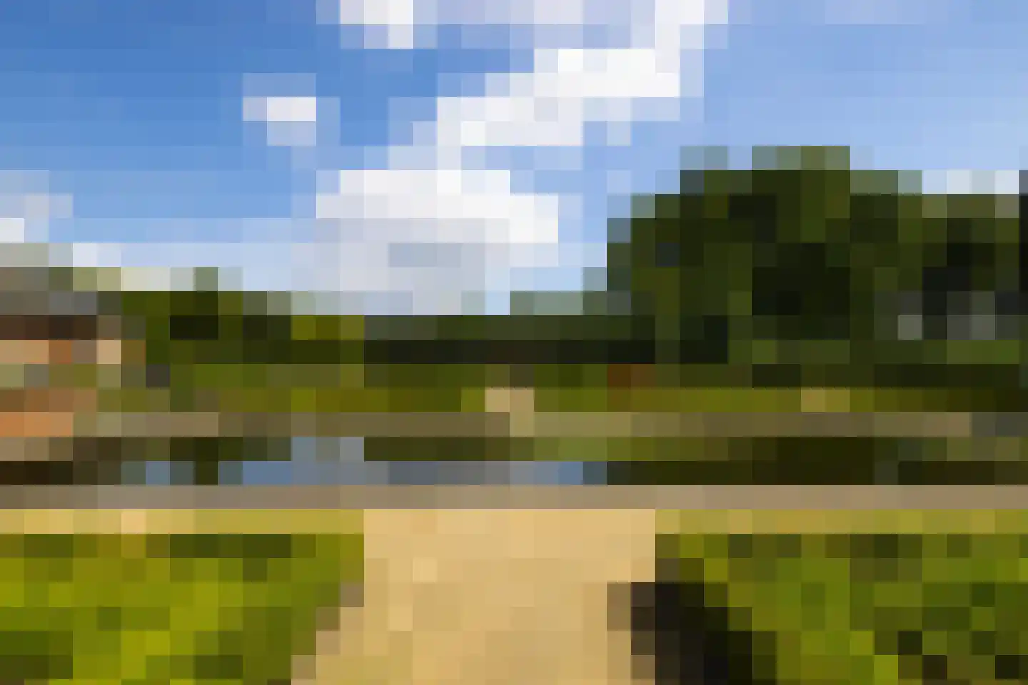 Berkenlaan 26 Loon op Zand thumbnail 20