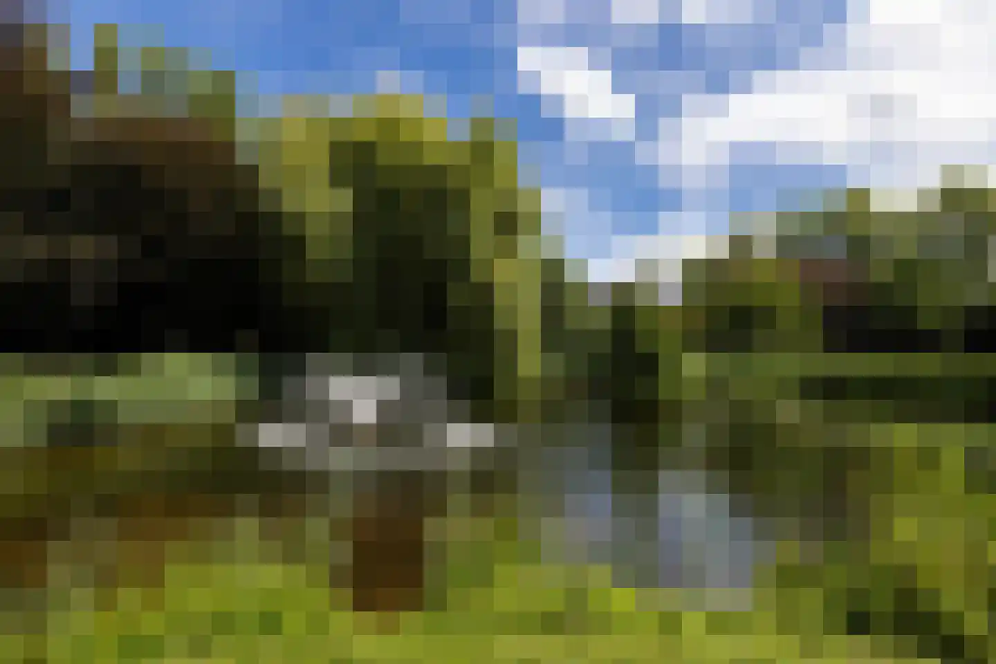 Berkenlaan 26 Loon op Zand thumbnail 6