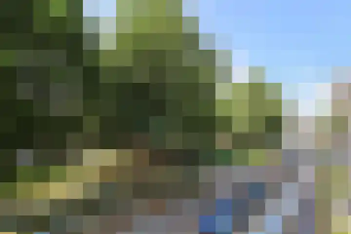 Berkenlaan 267 Zutphen thumbnail 22