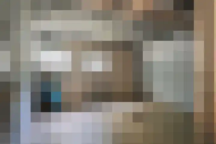 Berkenlaan 267 Zutphen thumbnail 24