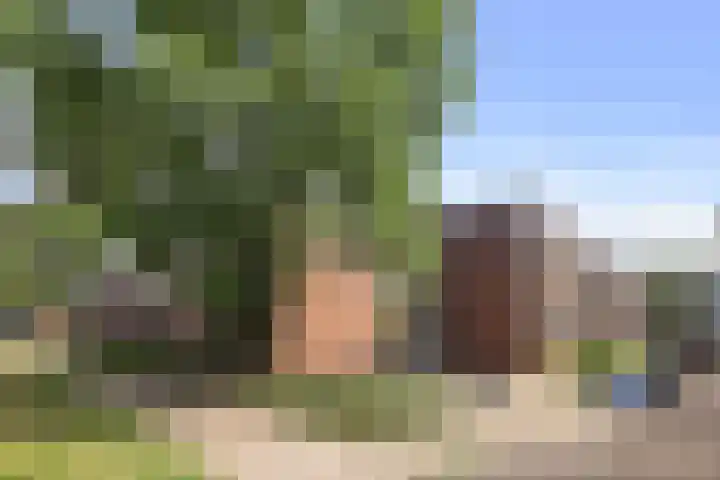 Berkenlaan 267 Zutphen thumbnail 34
