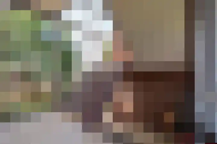 Berkenlaan 267 Zutphen thumbnail 6