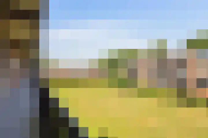 Berkenlaan 267 Zutphen thumbnail 9